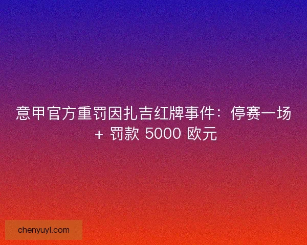 意甲官方重罚因扎吉红牌事件：停赛一场 + 罚款 5000 欧元